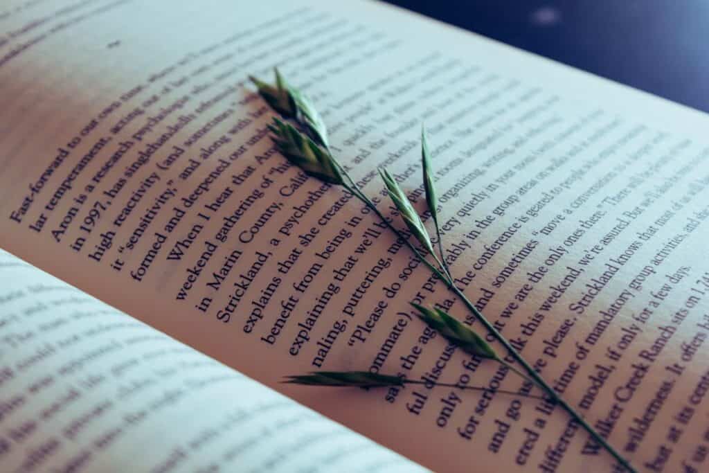Come scrivere un libro: Tutto quello che c'è da sapere Come scrivere un libro